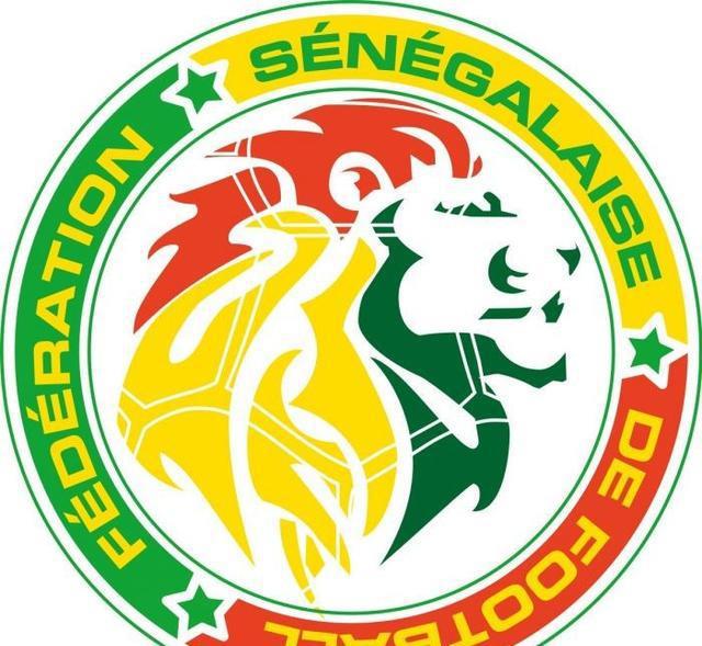 雄狮的野望，为非洲足球创造历史！塞内加尔能否突破世界杯8强？(1)