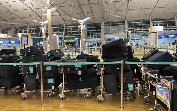 出征卡塔尔！韩国队的行李火到中国来了，世界杯晋级16强被看好？(2)
