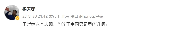 媒体人发问：王哲林这个表现，约等于中国男足里的谁啊？(2)